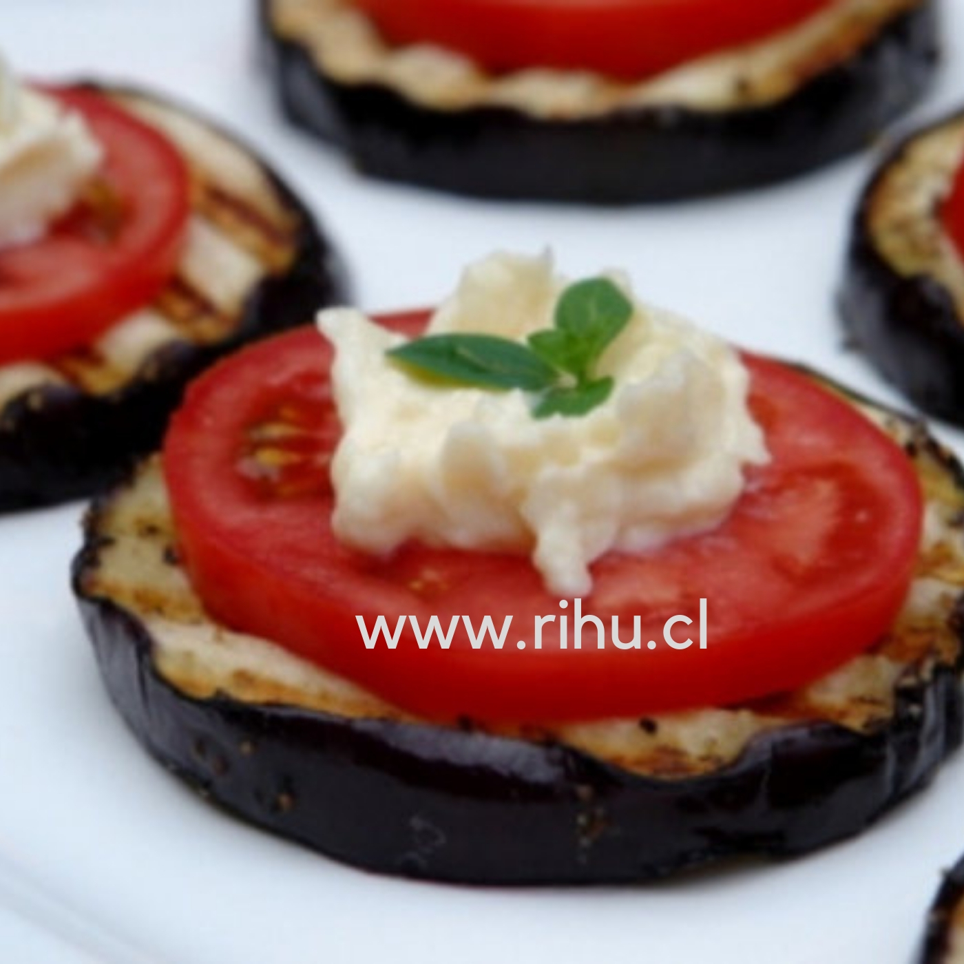 Canapés Vegetarianos 1 Rihu